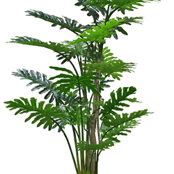 Philodendron 'giant-leaf' 1.8m delux - artificial plants, flowers & trees - image 9